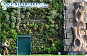 Giardini verticali e sostenibilità ambientale