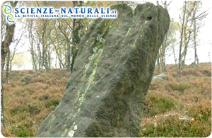 Un monolite di 4000 anni fa indica l’antico percorso del Sole sull’Inghilterra