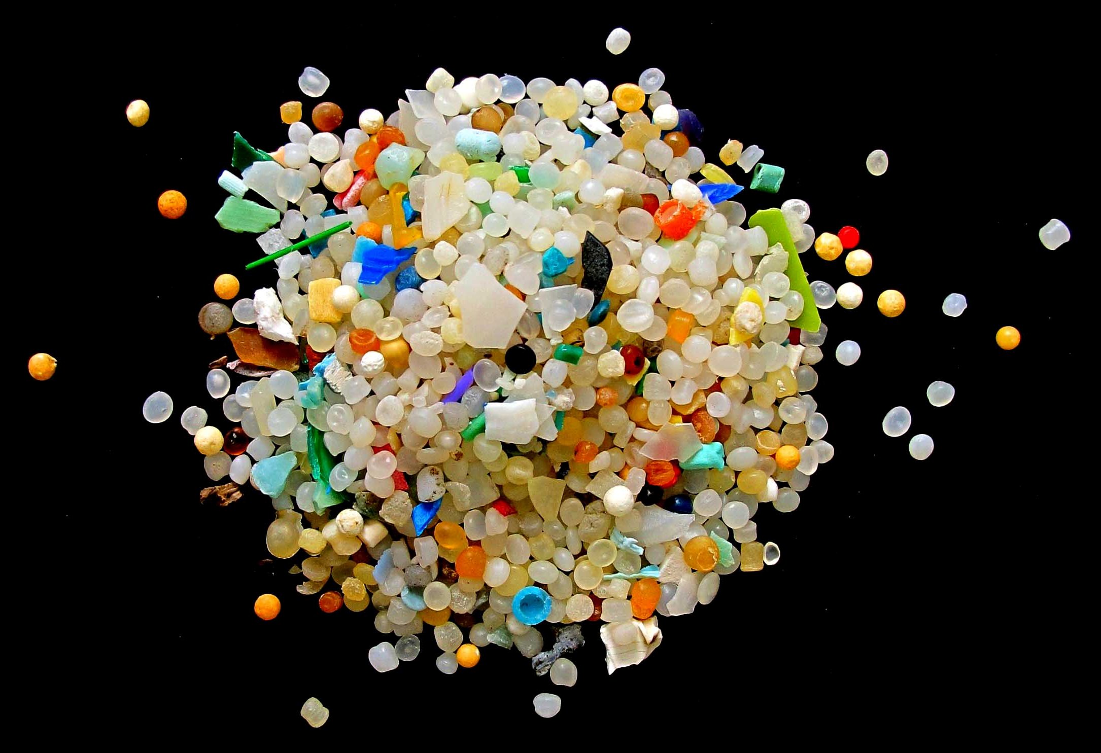 Microscopiche e mortali: le microplastiche in mare, un nemico ancora poco conosciuto