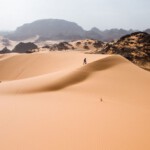 Regione del Sahara: tra vegetazione lussureggiante e arido deserto