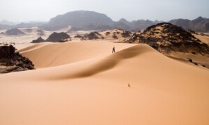 Regione del Sahara: tra vegetazione lussureggiante e arido deserto
